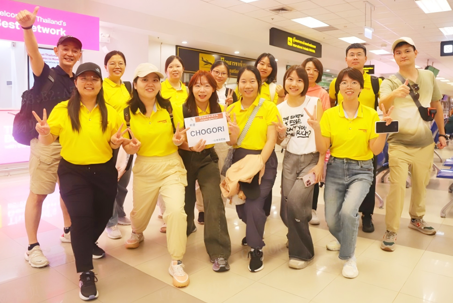 Chogori Connector Sales Team
